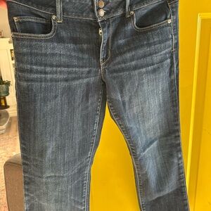 American Eagle Outfitters Dark Blue Slim Jeans